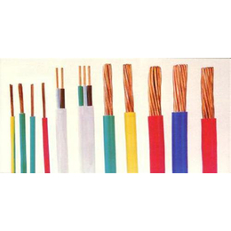 山東陽谷特種電纜與五金電器產(chǎn)業(yè) 區(qū)域經(jīng)濟(jì)的重要支柱
